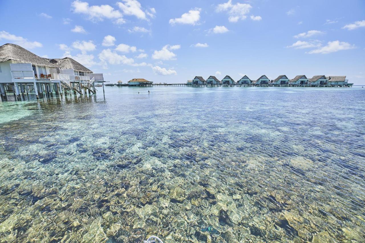 The Centara Collection, Machchafushi Island Resort & Spa Maldives - 30 Percent Discount On Transfers For Min 4 Nights Stay And More, Valid For Reservations Between 11Th Feb Till 22 Dec 2025 Exterior foto